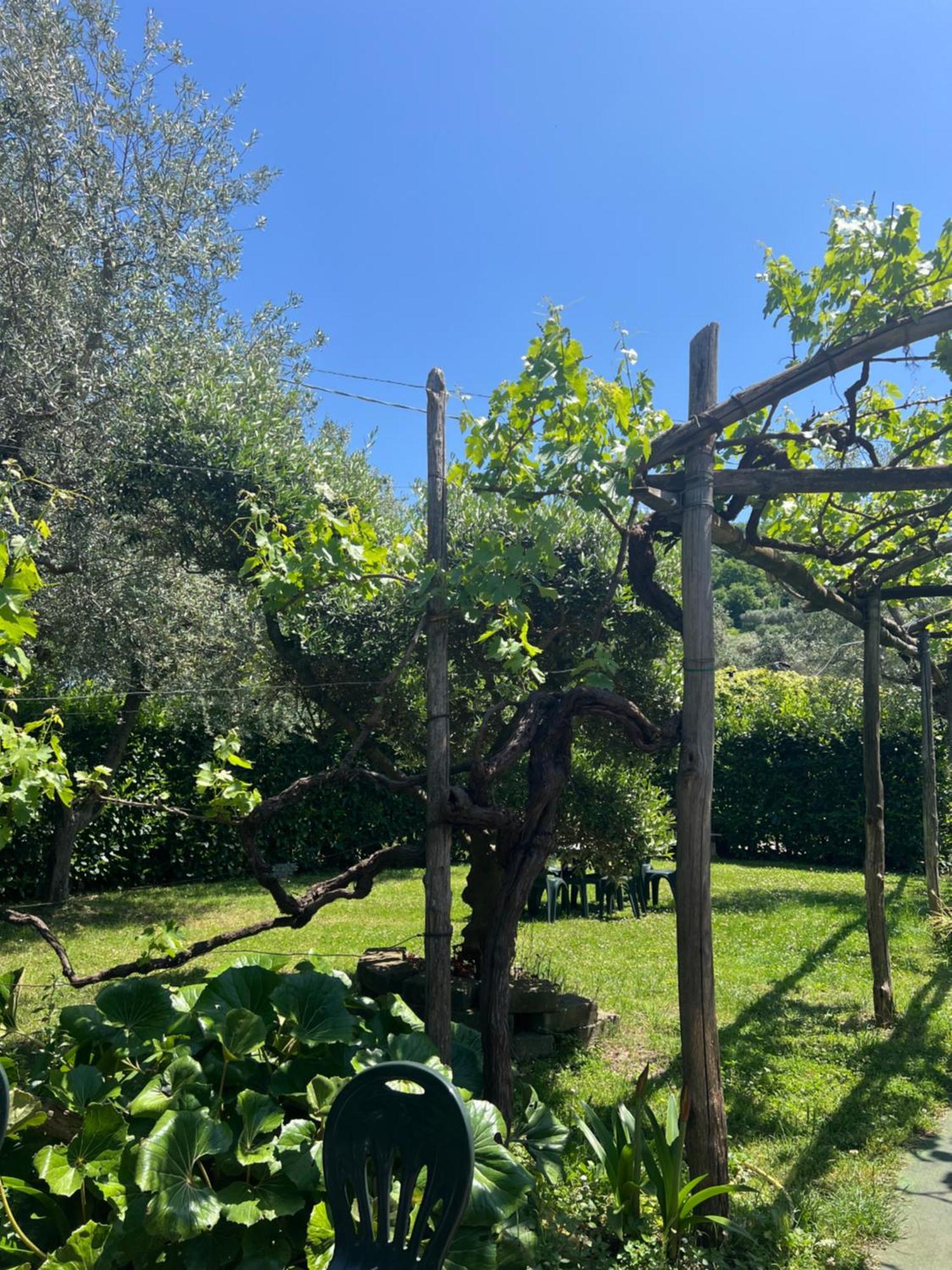 Agriturismo Le Grottelle Villa SantʼAgata sui Due Golfi Exterior foto